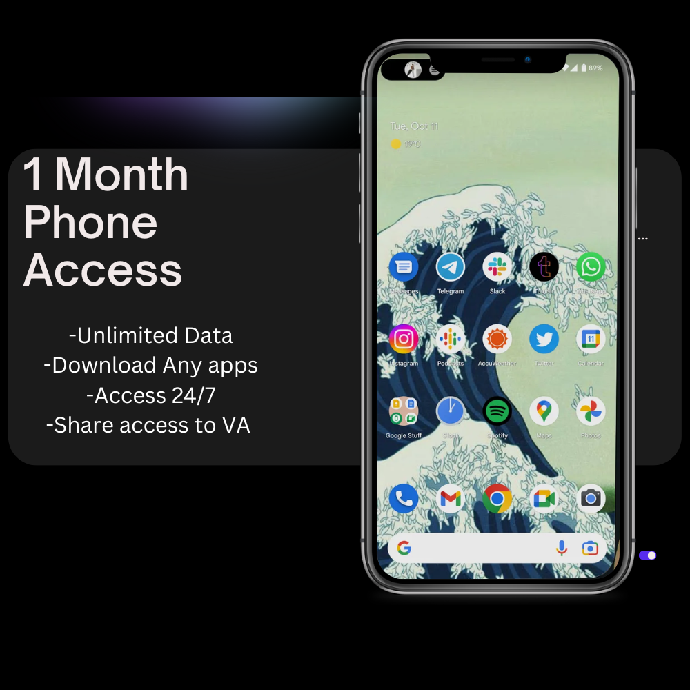 USA Phone Rental (1 month)